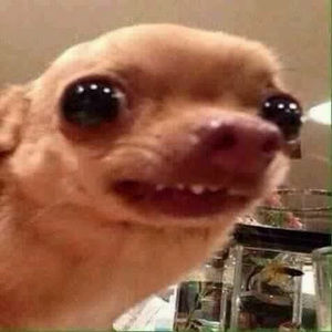 Meet your Posher, Nate